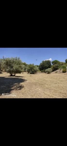 Débroussaillage La Ciotat