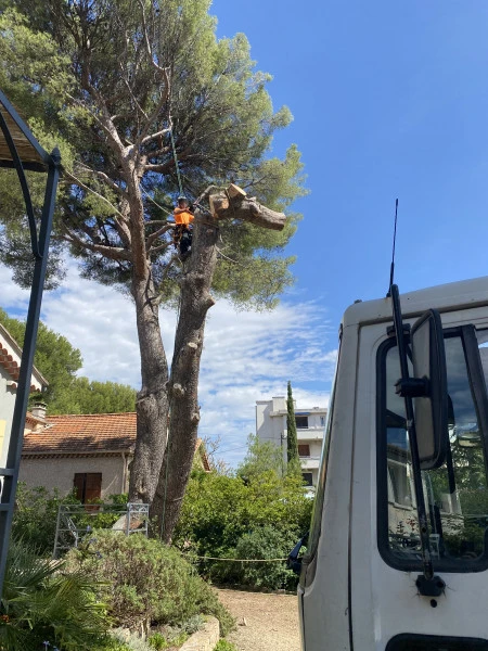 Abattage dangereux La Ciotat