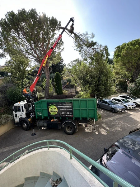 Évacuation d'arbre à La Ciotat